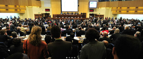 中非国际商会会议_1.jpg